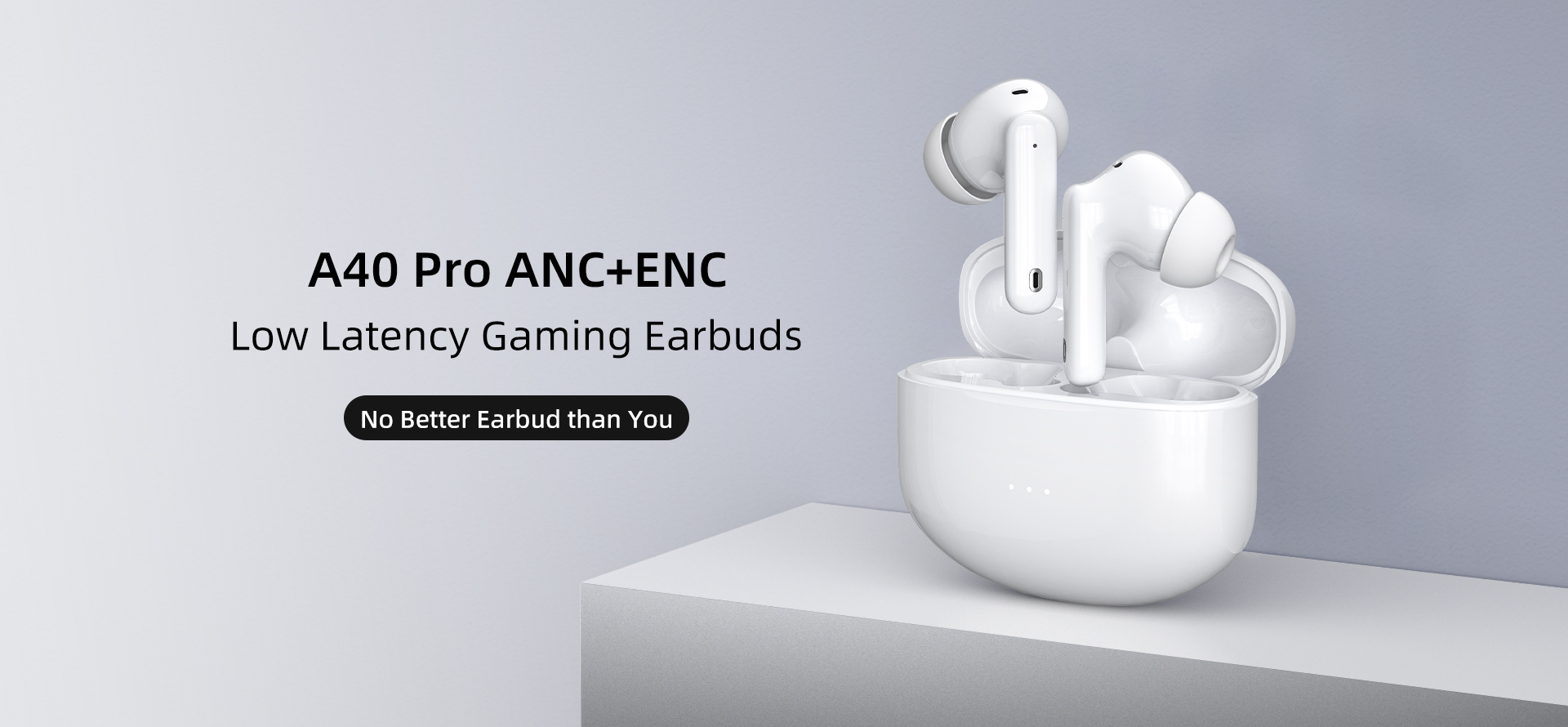 ANC ENC TWS Earbuds Manufacturer